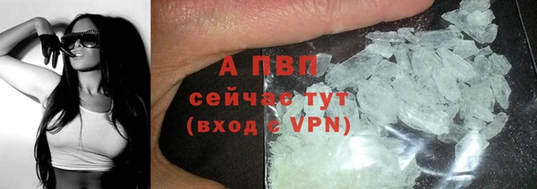 прущий лед Алзамай
