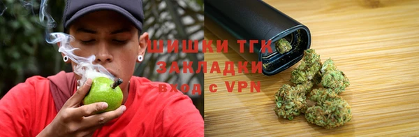 дмт Алексин