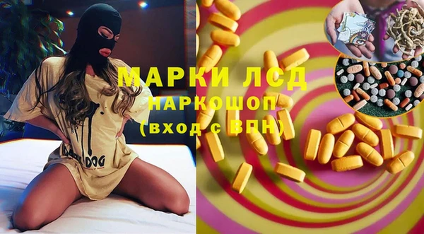 прущий лед Алзамай