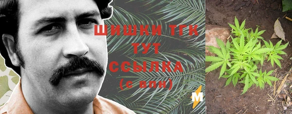 крисы Алексеевка