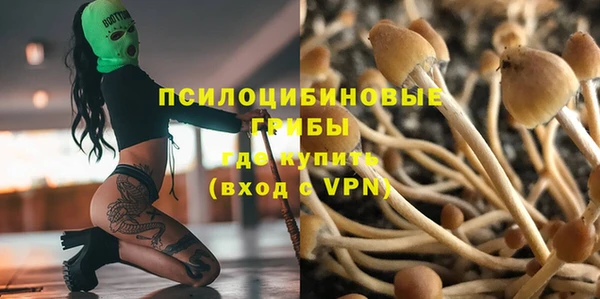 крисы Алексеевка