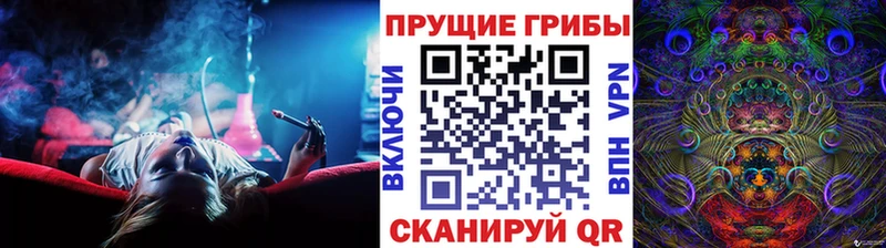 Псилоцибиновые грибы GOLDEN TEACHER  наркошоп  Дзержинск 